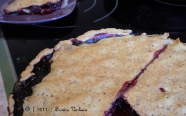 My Blueberry Pie