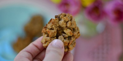 Hafer-Erdnuss-Cookies